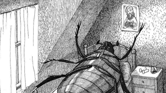 The Metamorphosis